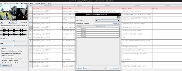 example_issue_ELAN